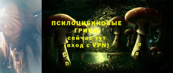 метадон Белоозёрский