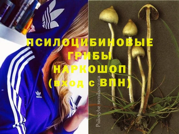 синтетический гашиш Беломорск