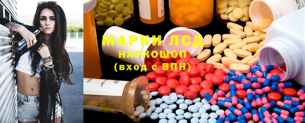 ГАЛЛЮЦИНОГЕННЫЕ ГРИБЫ Белокуриха