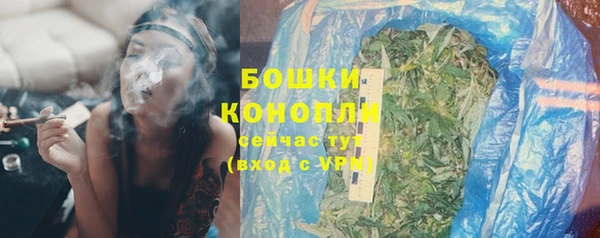 ГАЛЛЮЦИНОГЕННЫЕ ГРИБЫ Белокуриха