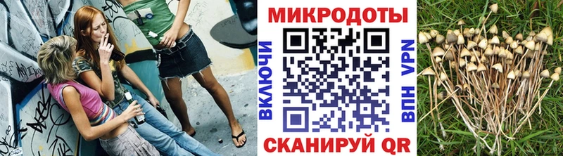 Купить закладки  Дюртюли  Галлюциногенные грибы Cubensis 